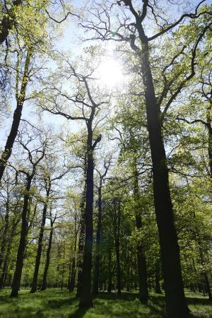 Tiergarten Hannover