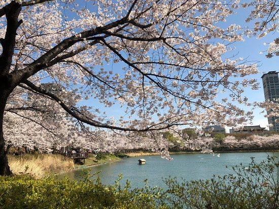 Seokchon Hosu Park