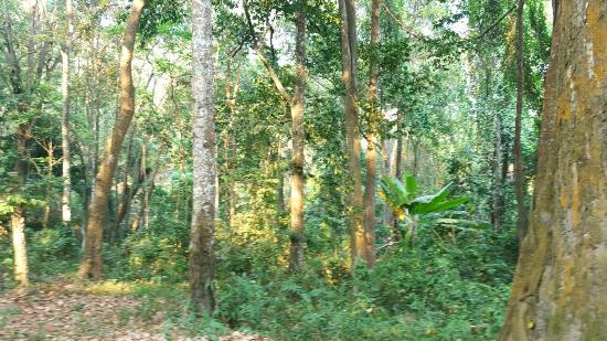 Nationalpark Doi Suthep-Pui