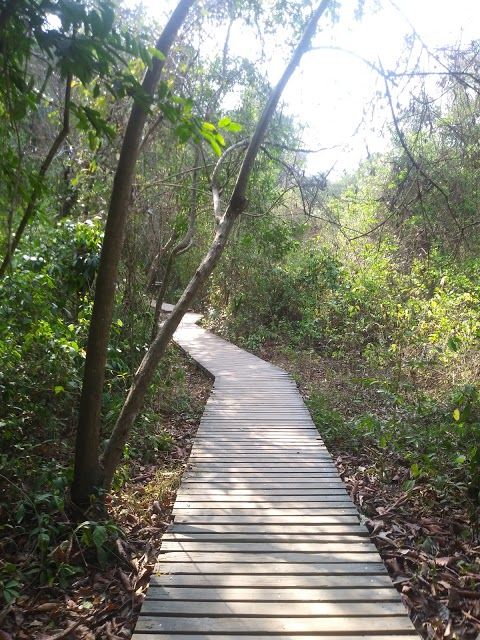 Tairona Park