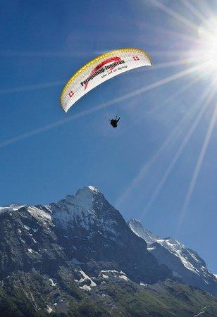 Paragliding Jungfrau