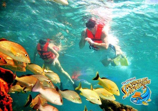 Snorkeling Adventure