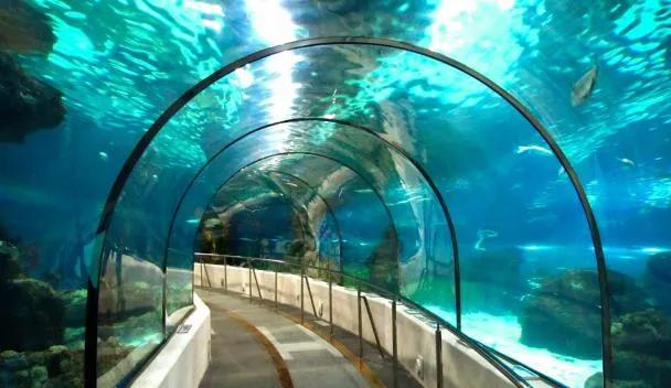 Siam Ocean World