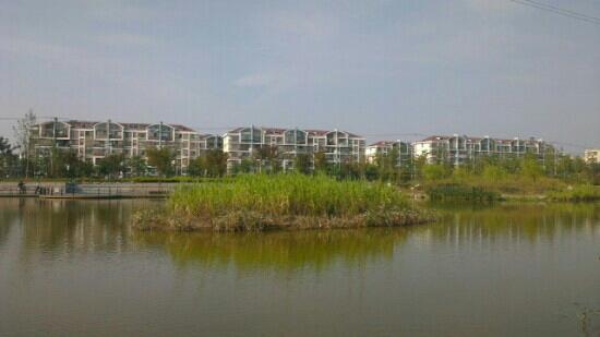 Zhangheng Park