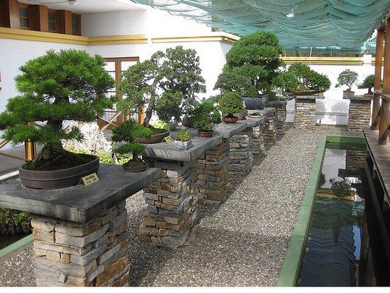 Bonsai-Museum