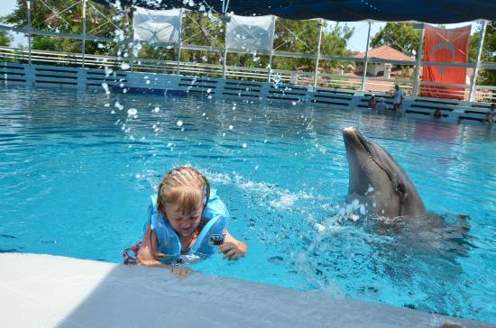 Kemer Dolfin Park