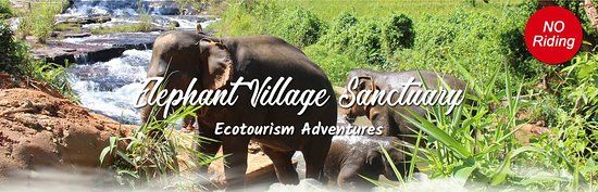 Elephant Village Sanctuary