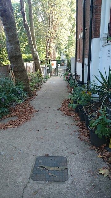 Iyengar Yoga Maida Vale