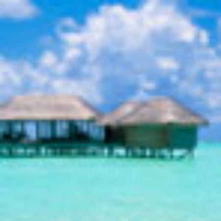 Pool Bar