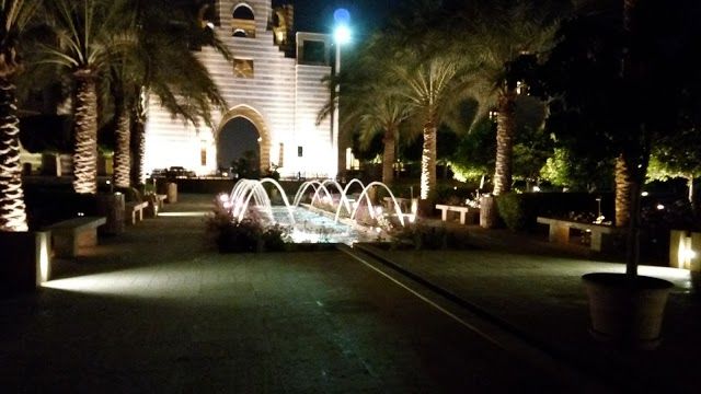 American University in Cairo