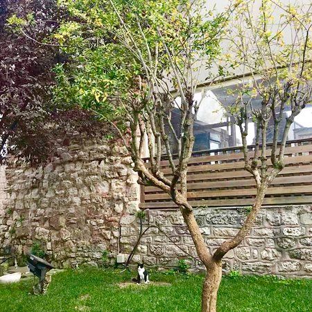 Fatih Belediyesi Yedikule Sosyal Tesisleri