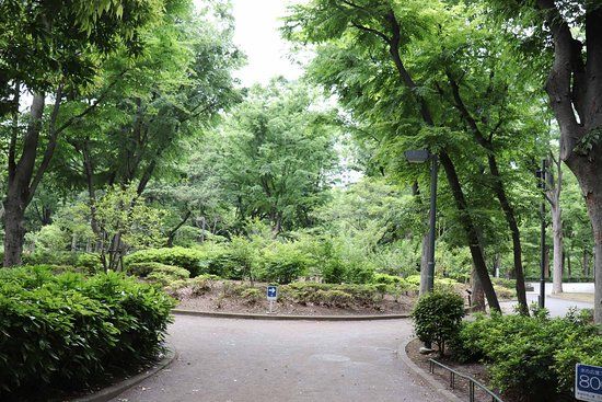 Zentralpark Shinjuku