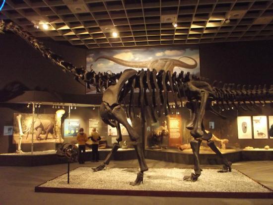LWL-Museum für Naturkunde mit Planetarium