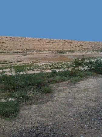 Wadi Hanifah